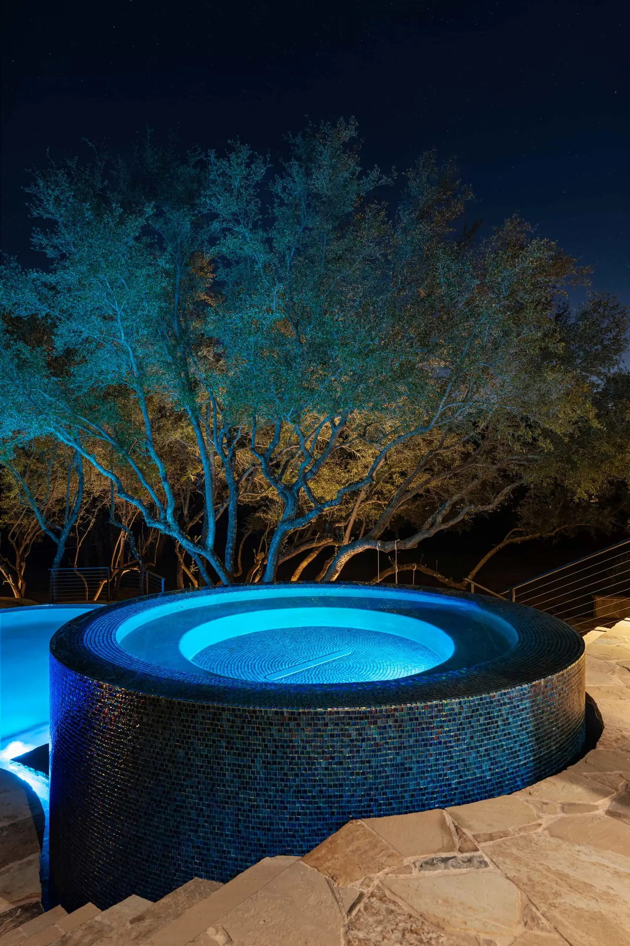 Boulder Slide — Family freeform pool in Tarrytown, TX by GB IV Designs (photo 20)