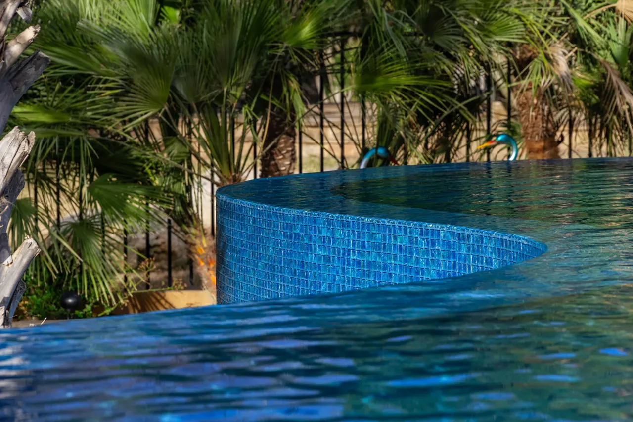 Palapa Lagoon — Freeform vanishing-edge pool in West Lake Hills, TX by GB IV Designs (photo 1)